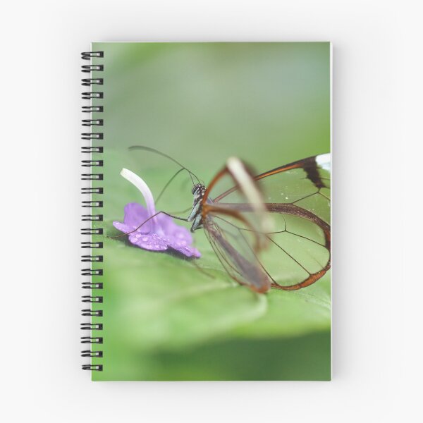 Item preview, Glasswing sipping nectar designed and sold by GreyFeatherPhot.