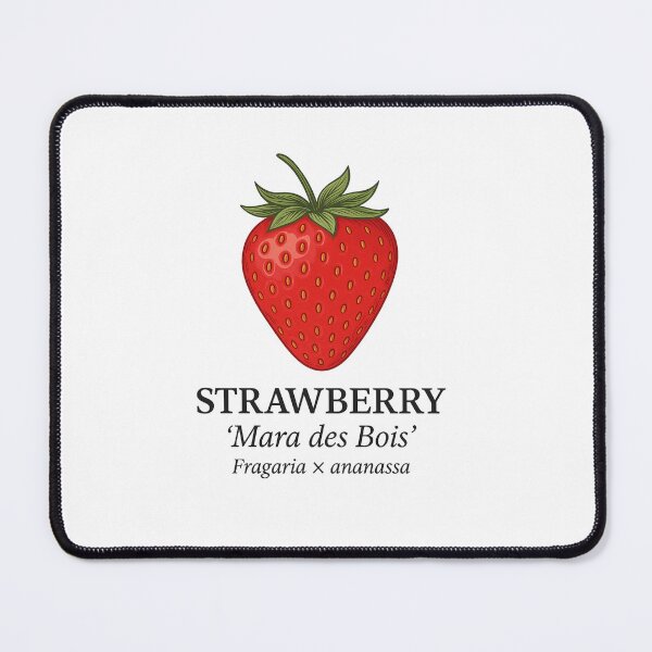 Item preview, Strawberry ‘Mara des Bois’ – Fragaria × ananassa designed and sold by BloomKind.