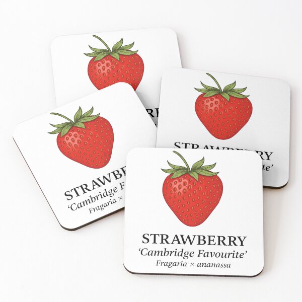Item preview, Strawberry ‘Cambridge Favourite’ – Fragaria × ananassa designed and sold by BloomKind.