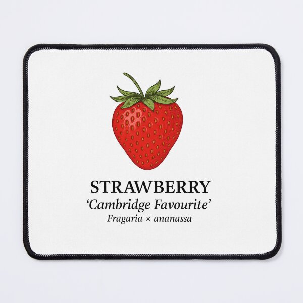Item preview, Strawberry ‘Cambridge Favourite’ – Fragaria × ananassa designed and sold by BloomKind.