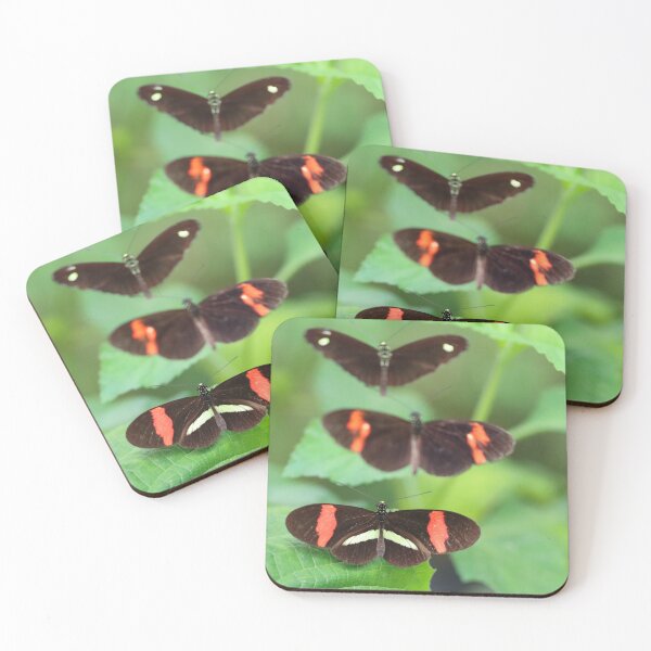 Item preview, A trio of longwings designed and sold by GreyFeatherPhot.