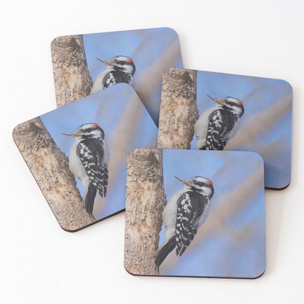 Item preview, The downy woodpecker, the smallest woodpecker in Quebec designed and sold by Production Art Manon Meilleur.