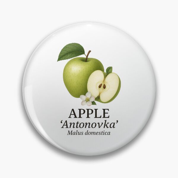 Item preview, Apple ‘Antonovka’ – Malus domestica designed and sold by BloomKind.