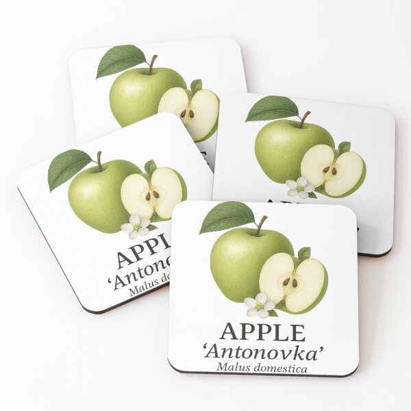 Item preview, Apple ‘Antonovka’ – Malus domestica designed and sold by BloomKind.