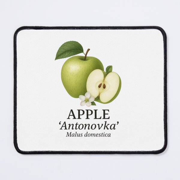 Item preview, Apple ‘Antonovka’ – Malus domestica designed and sold by BloomKind.