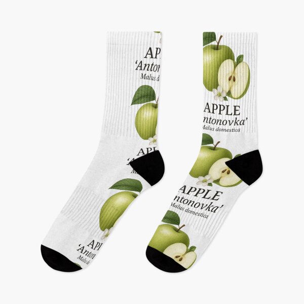 Item preview, Apple ‘Antonovka’ – Malus domestica designed and sold by BloomKind.