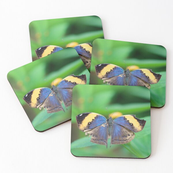 Item preview, Dead leaf butterfly - upperwing designed and sold by GreyFeatherPhot.