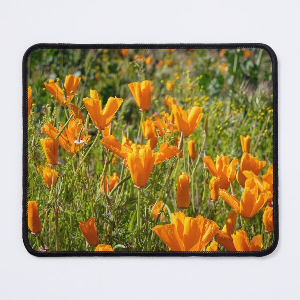 Item preview, Poppi-Copia designed and sold by WrightDesignsUS.