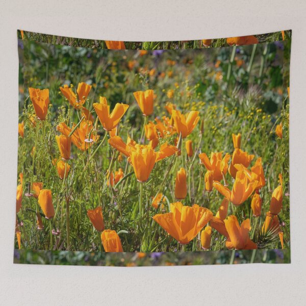 Item preview, Poppi-Copia designed and sold by WrightDesignsUS.