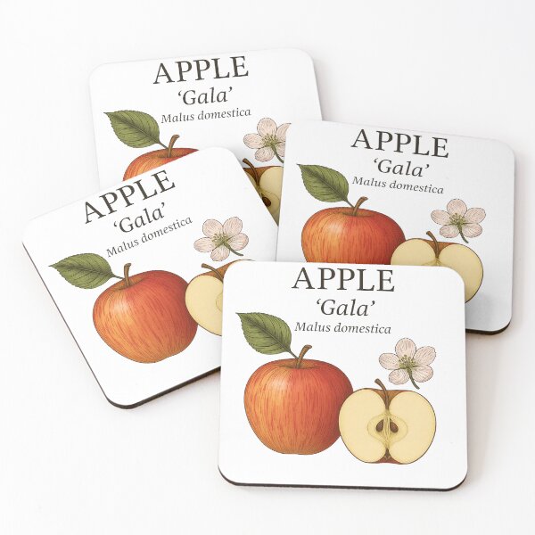 Item preview, Apple ‘Gala’ – Malus domestica designed and sold by BloomKind.