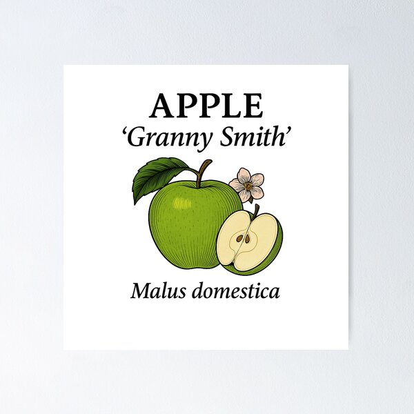 Item preview, Apple ‘Granny Smith’ – Malus domestica designed and sold by BloomKind.