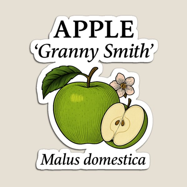 Item preview, Manzana ‘Granny Smith’ – Malus domestica designed and sold by BloomKind.