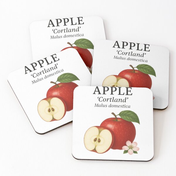 Item preview, Apple ‘Cortland’ – Malus domestica designed and sold by BloomKind.