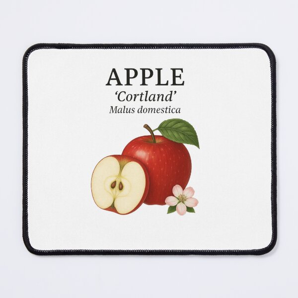 Item preview, Apple ‘Cortland’ – Malus domestica designed and sold by BloomKind.