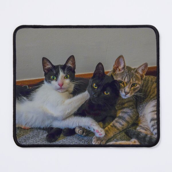Item preview, The Furry Trinity designed and sold by The Grand Boutique.