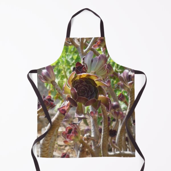 Item preview, Black Rose Succulent designed and sold by Kiko 7.