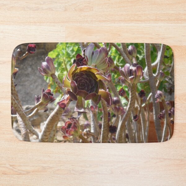 Item preview, Black Rose Succulent designed and sold by Kiko 7.