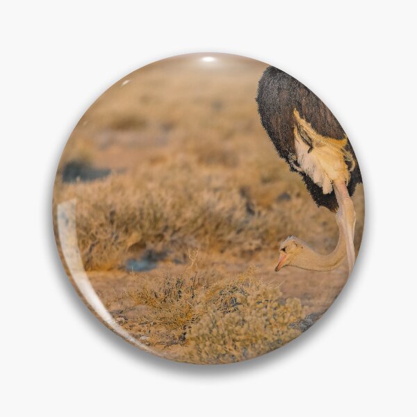 Item preview, Golden Hour Grazer — Ostrich of Etosha, Namibia designed and sold by DavideAntoniani.
