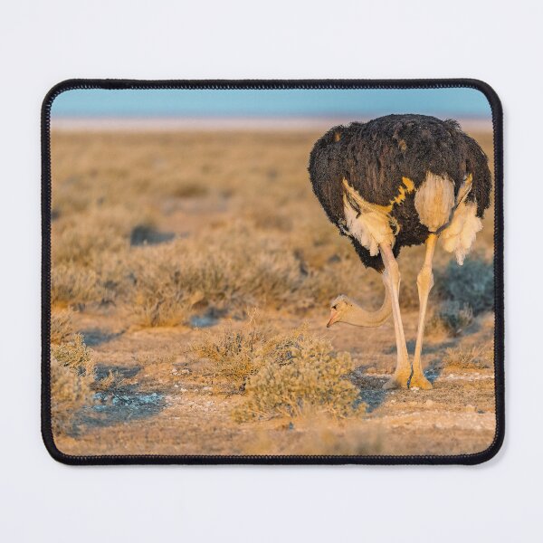 Item preview, Golden Hour Grazer — Ostrich of Etosha, Namibia designed and sold by DavideAntoniani.