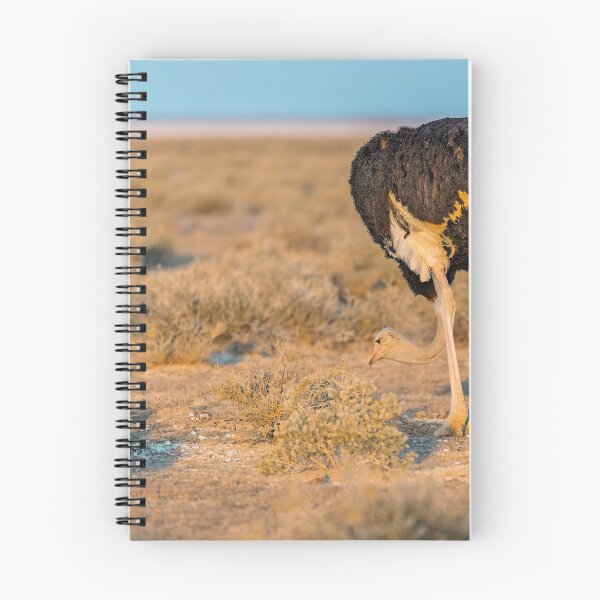 Item preview, Golden Hour Grazer — Ostrich of Etosha, Namibia designed and sold by DavideAntoniani.