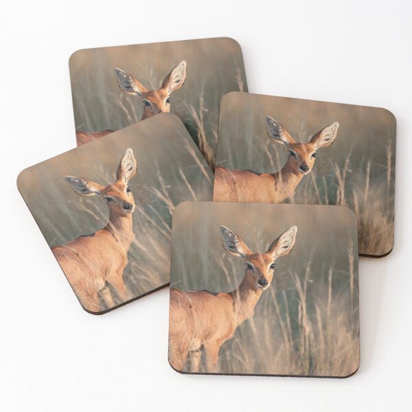 Item preview, Ears of Dawn — Steenbok in Tall Grass, Moremi designed and sold by DavideAntoniani.