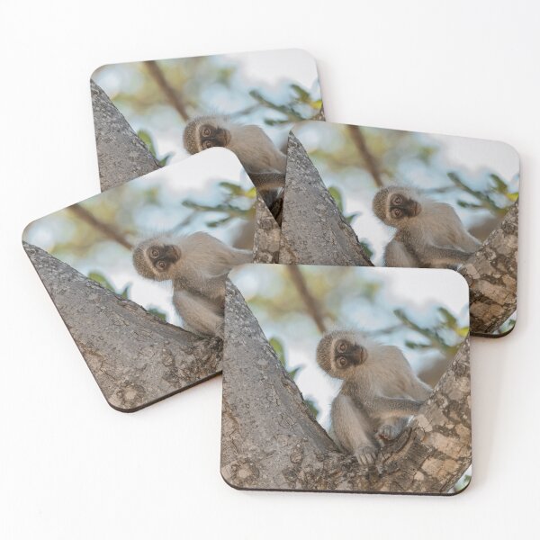 Item preview, Tilted Curiosity — Young Vervet of Moremi designed and sold by DavideAntoniani.