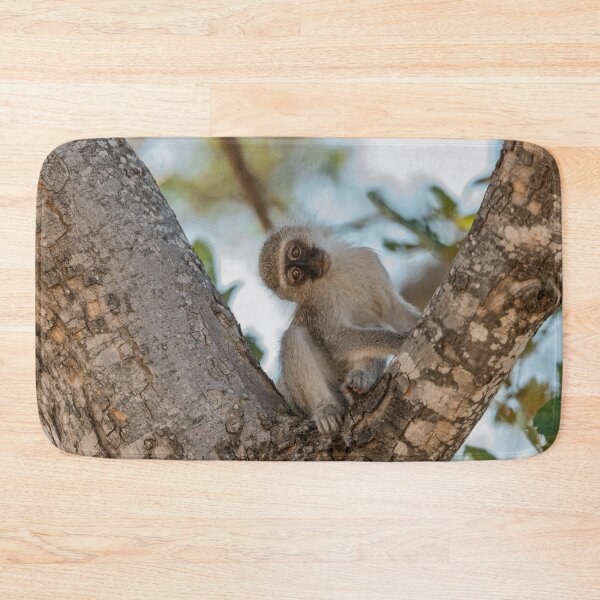 Item preview, Tilted Curiosity — Young Vervet of Moremi designed and sold by DavideAntoniani.