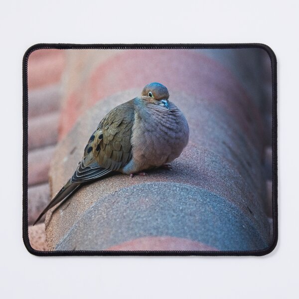 Item preview, Quiet Observer  designed and sold by WrightDesignsUS.