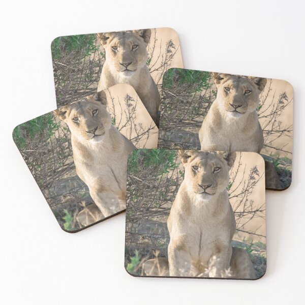 Item preview, Sunlit Vigil — Lioness of Moremi, Okavango Delta designed and sold by DavideAntoniani.