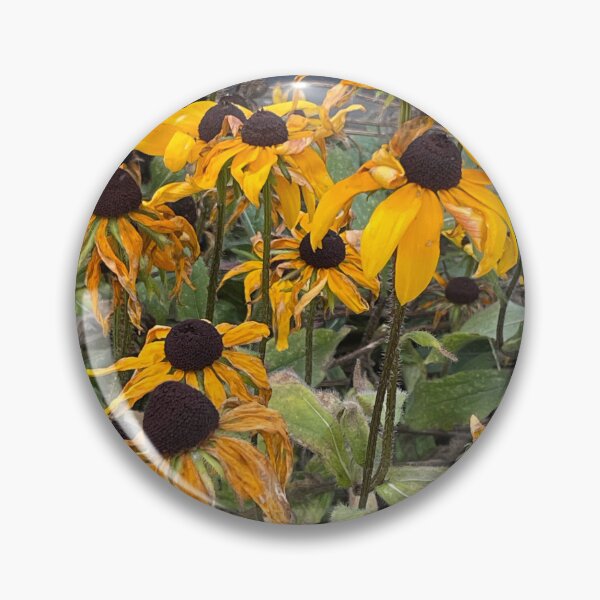 Item preview, Black-eyed Susans designed and sold by PatnCat.
