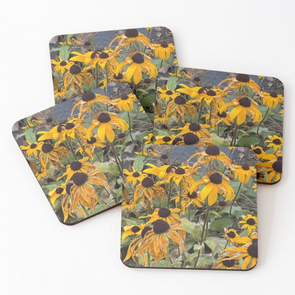 Item preview, Black-eyed Susans designed and sold by PatnCat.