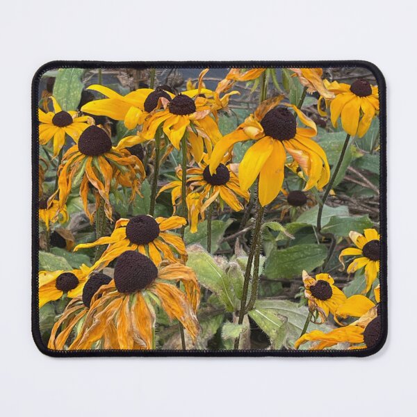 Item preview, Black-eyed Susans designed and sold by PatnCat.
