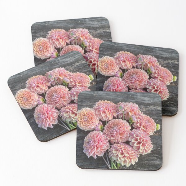 Item preview, Serenade CanCan designed and sold by Serenade Dahlias.