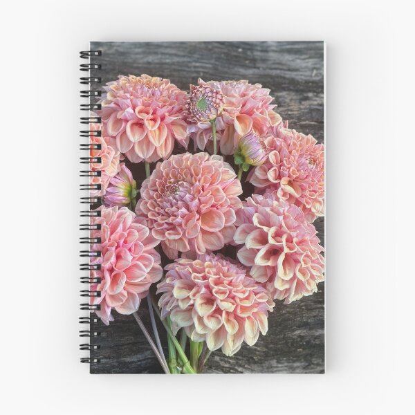 Item preview, Serenade CanCan designed and sold by Serenade Dahlias.