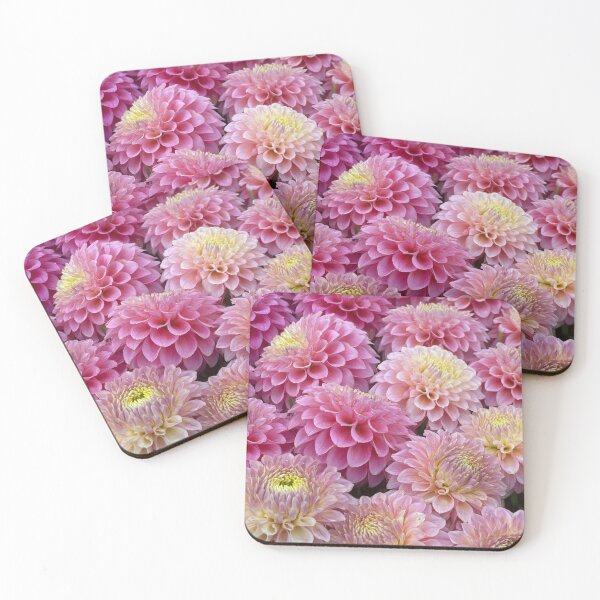Item preview, Serenade Rebel Dahlias designed and sold by Serenade Dahlias.