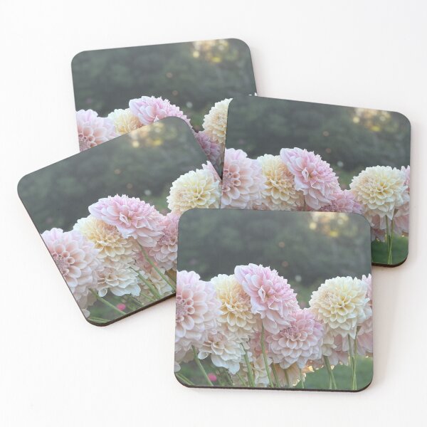 Item preview, Serenade Symphony Dahlia designed and sold by Serenade Dahlias.
