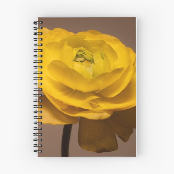 Item preview, Golden Bloom designed and sold by AnnaKova8.