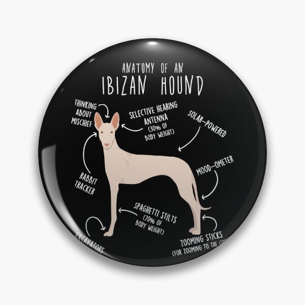 Item preview, White Ibizan Hound Dog Anatomy designed and sold by Clara Hollins.