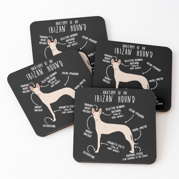 Item preview, White Ibizan Hound Dog Anatomy designed and sold by Clara Hollins.
