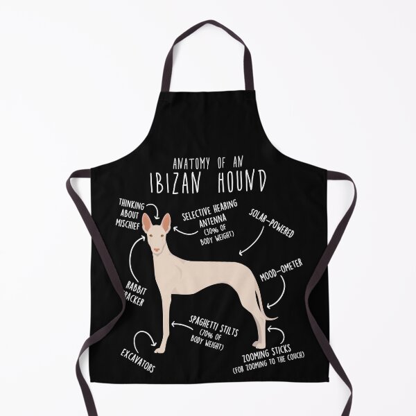 Item preview, White Ibizan Hound Dog Anatomy designed and sold by Clara Hollins.