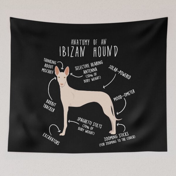 Item preview, White Ibizan Hound Dog Anatomy designed and sold by Clara Hollins.