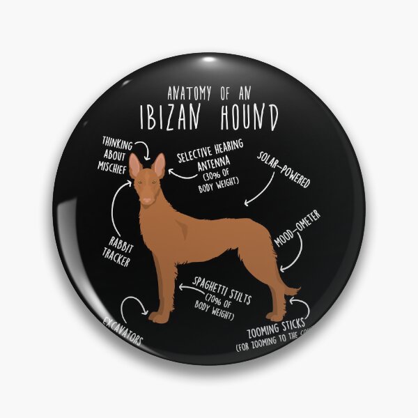 Item preview, Wire-Haired Ibizan Hound Dog Anatomy designed and sold by Clara Hollins.