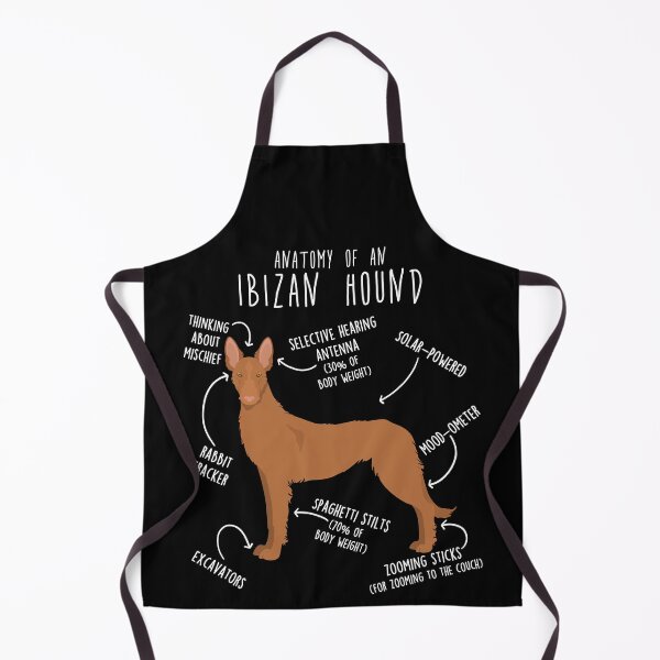 Item preview, Wire-Haired Ibizan Hound Dog Anatomy designed and sold by Clara Hollins.