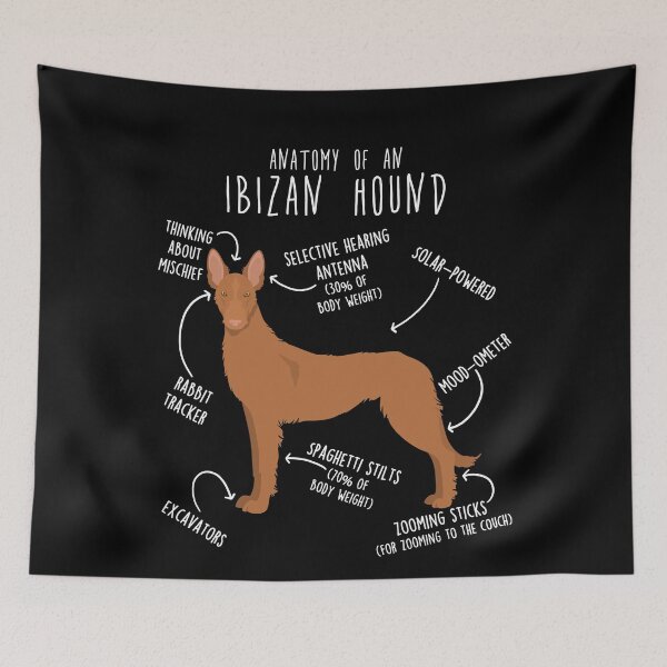 Item preview, Wire-Haired Ibizan Hound Dog Anatomy designed and sold by Clara Hollins.
