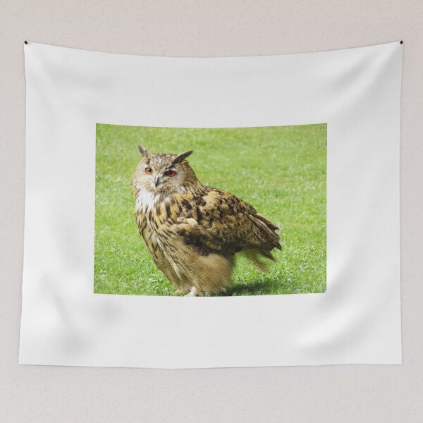 Item preview, Long Eared Owl designed and sold by derbyshireduck.