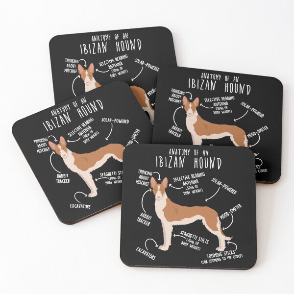 Item preview, Wire-Haired Ibizan Hound Dog Anatomy designed and sold by Clara Hollins.