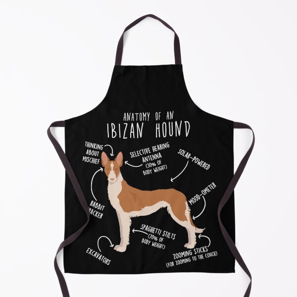Item preview, Wire-Haired Ibizan Hound Dog Anatomy designed and sold by Clara Hollins.