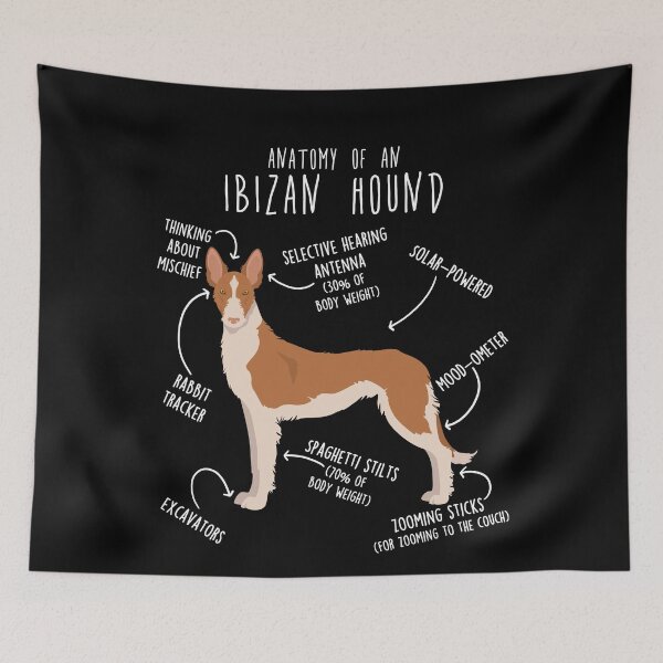 Item preview, Wire-Haired Ibizan Hound Dog Anatomy designed and sold by Clara Hollins.