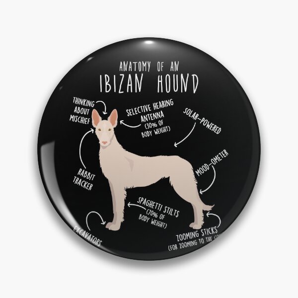 Item preview, White Wire-Haired Ibizan Hound Dog Anatomy designed and sold by Clara Hollins.