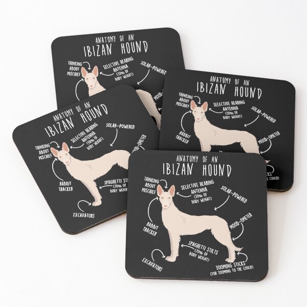 Item preview, White Wire-Haired Ibizan Hound Dog Anatomy designed and sold by Clara Hollins.